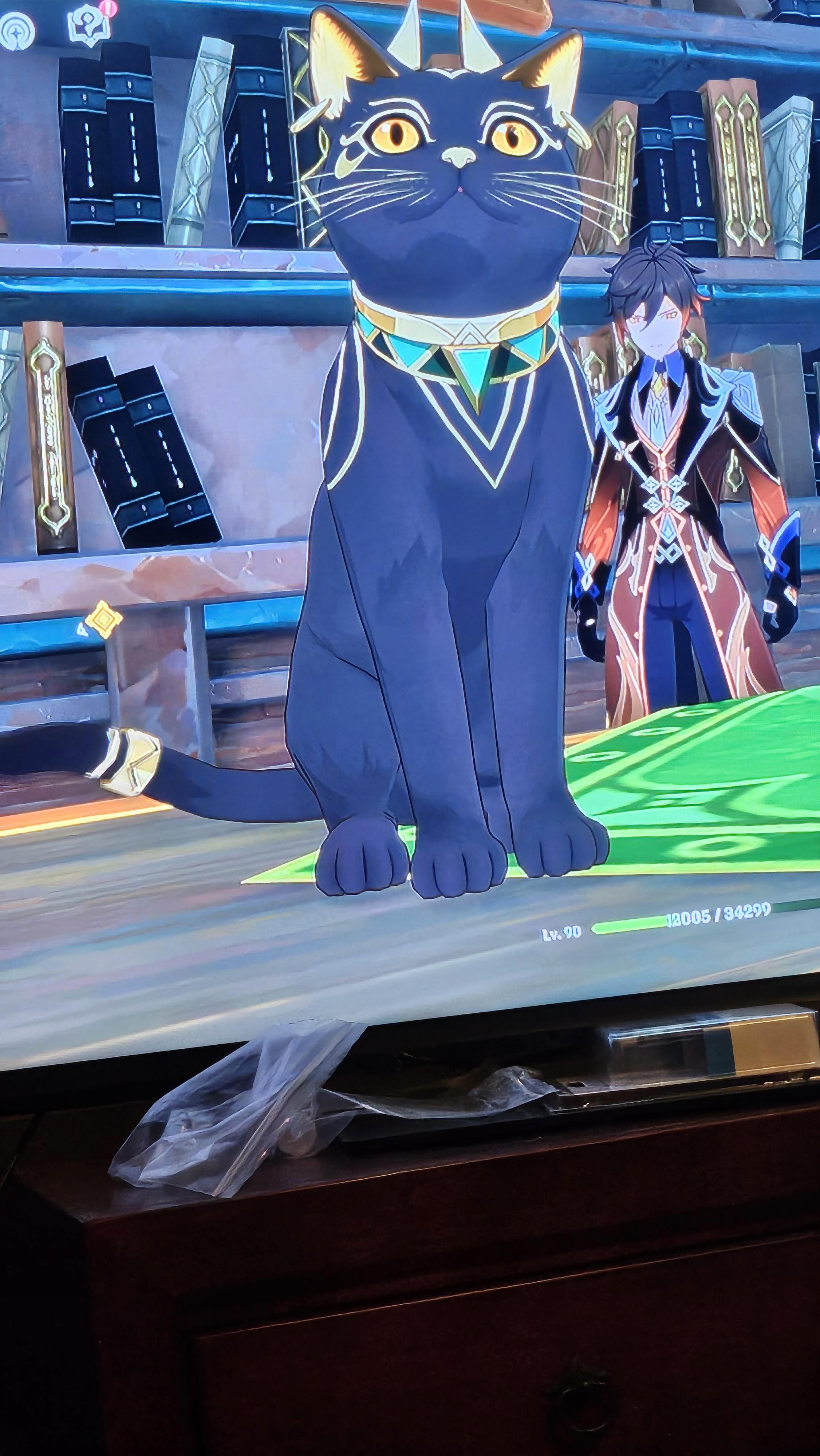 I just wanna play with her!!!