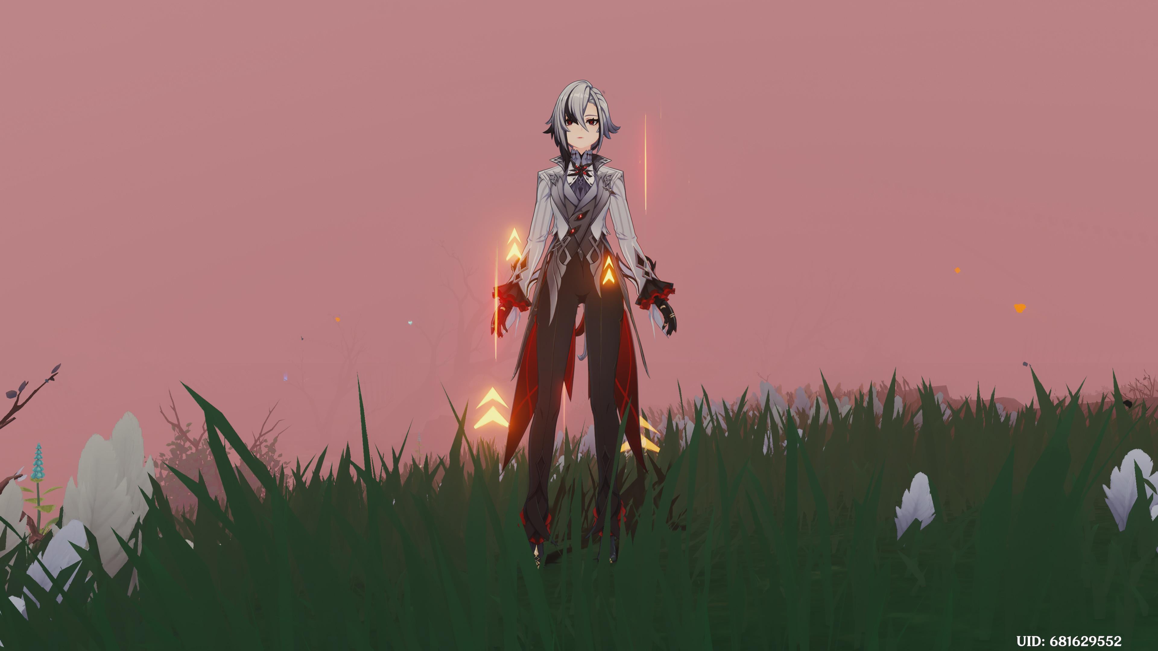What are these arrows?