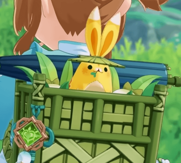 Close up picture of Hat Gui