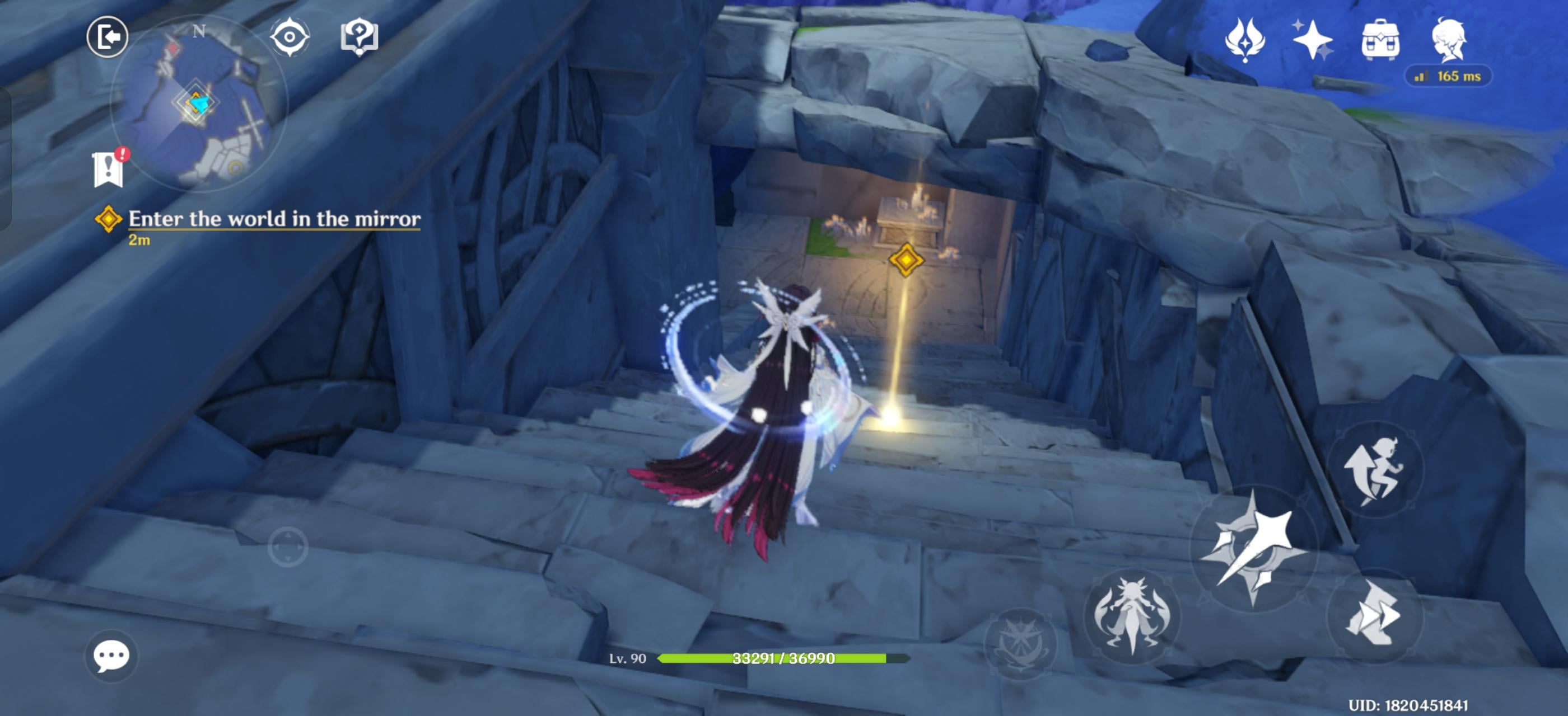 Enter the world in the mirror Glitch solution
