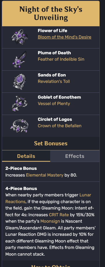 You can technically put this set on any crit scaling dps in lunar team (bineffa wheelchair preferably)