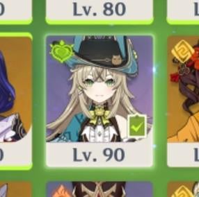 What is this green tick on my Kirara?