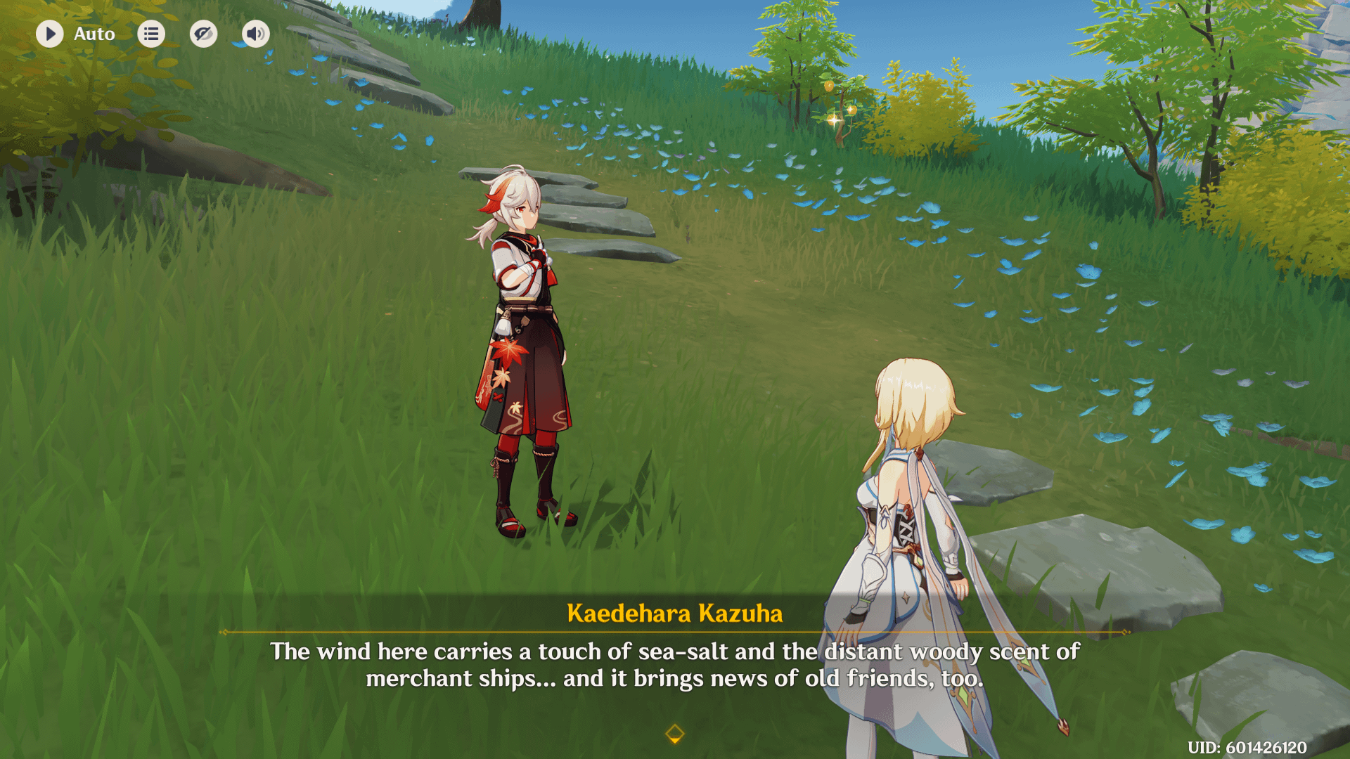 What's the point of picking the Traveler's outfit if they don't even use it