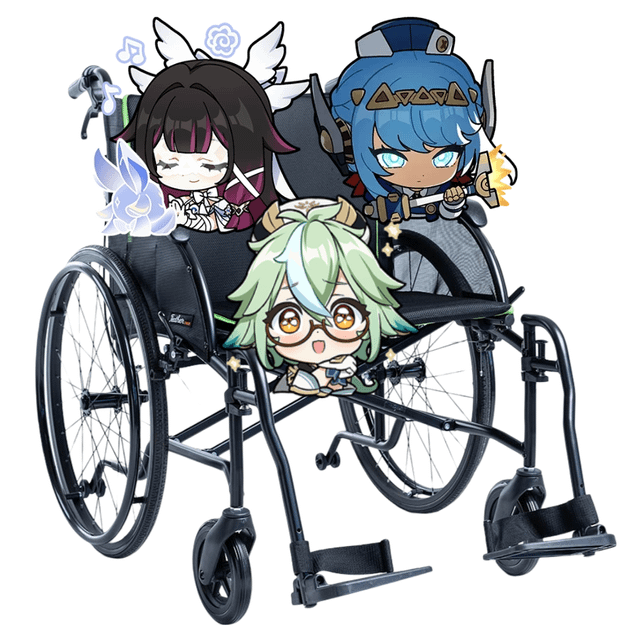 Bineffa Wheelchair