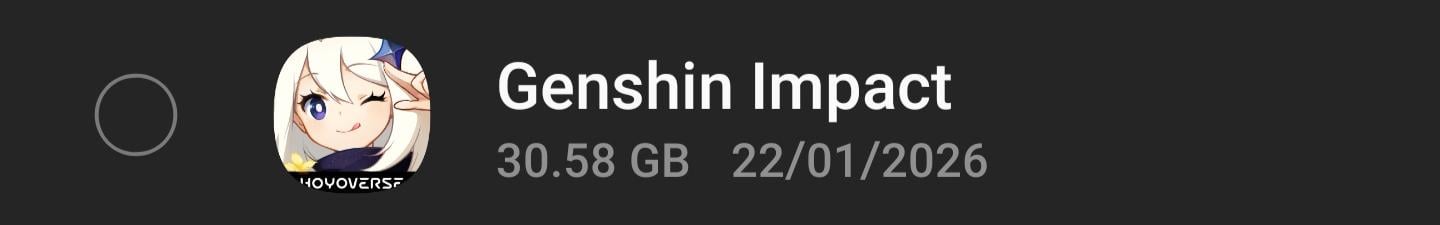 Bro is genshin even worth 50% of my storage🙏