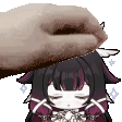 pet the bina