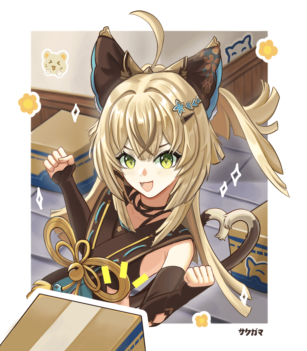 Kirara・Cats and boxes