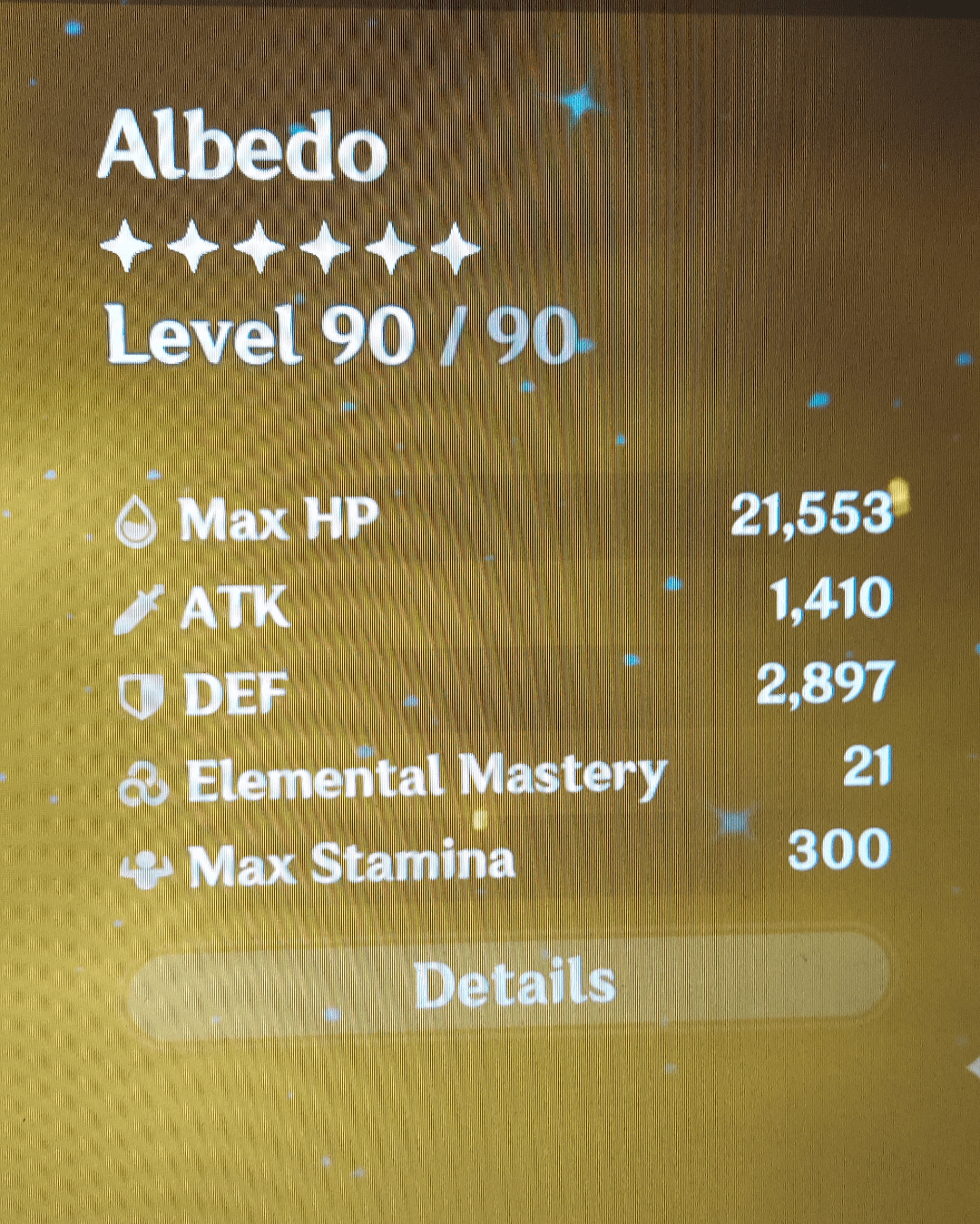 how does this person and the rest of their display characters have 300 stamina?