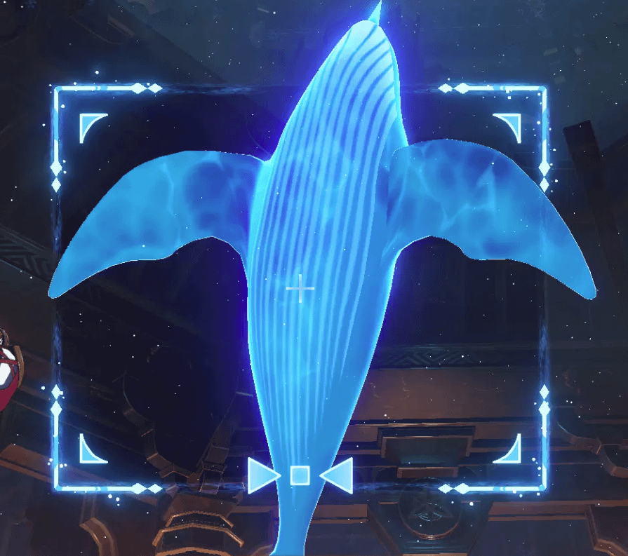Question for Genshin Whales