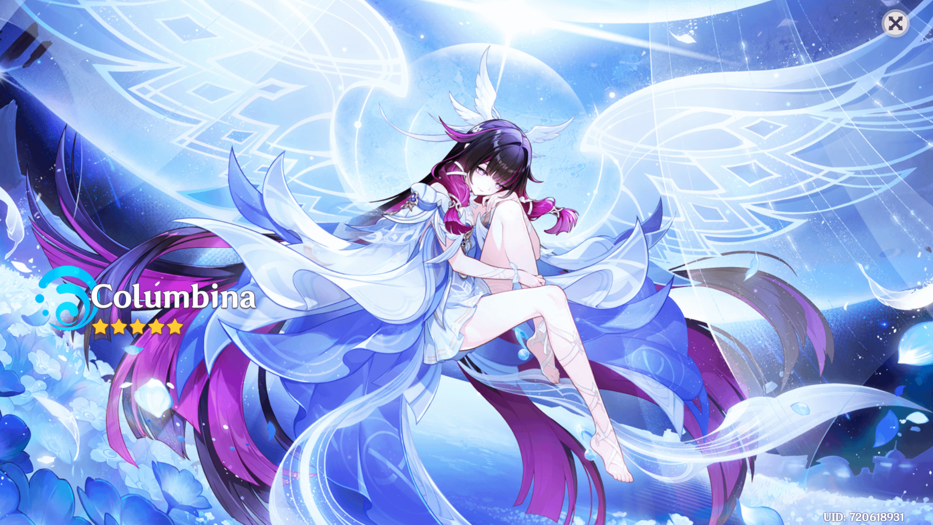 Columbina Came Home :D